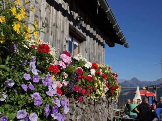 Alpe Osterberg