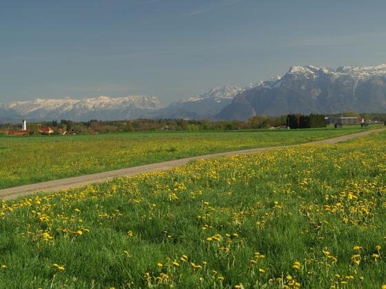 Blick Richtung Surheim im Hintergrund ist der Untersberg