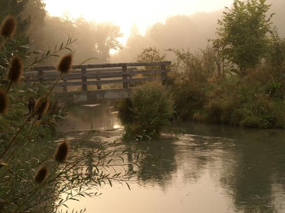 Herbststimmung am Mittergraben