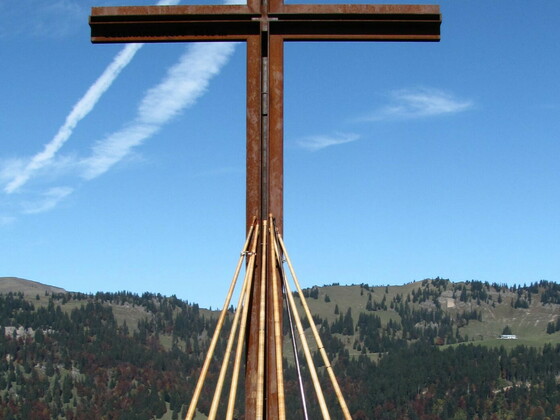 Gelbhansekopf