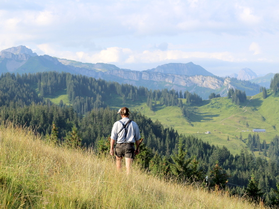 Alpe Seelosschelpen Balderschwang