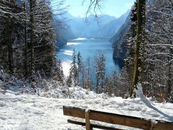 Aussicht vom Malerwinkel über den Königssee nach St. Bartholomä