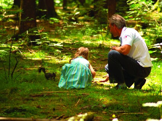 Familienhighlight in Fischen: Der Eichhörnchenwald
