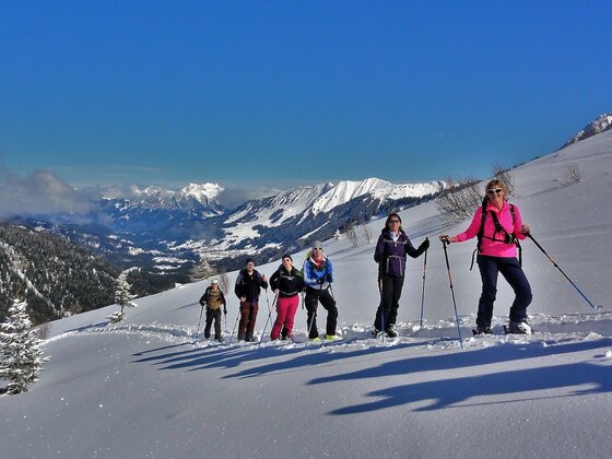 Geführte Skitour