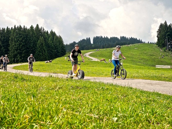 Downhill Roller in Ofterschwang im Allgäu