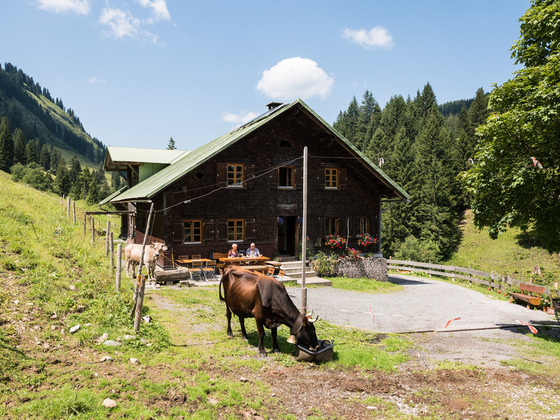 Im Sommer wird die Herzberg Alpe von Michael und Rebecca Hartmann bewirtschaftet