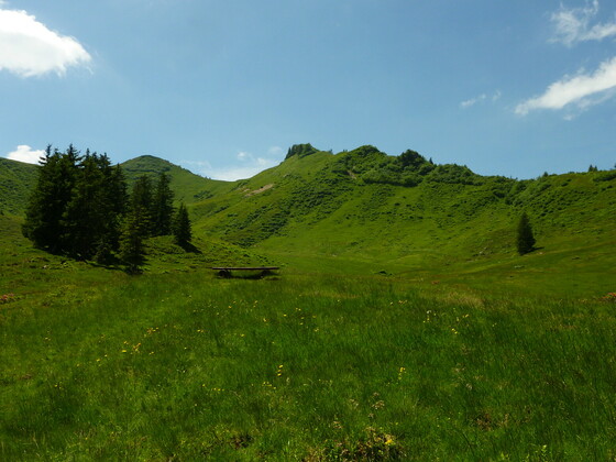 Gipfel des Riedbergerhorns