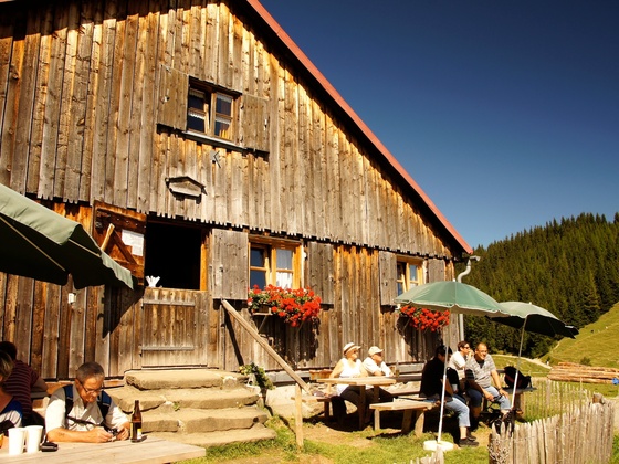 Fahnengehren Alpe in Ofterschwang