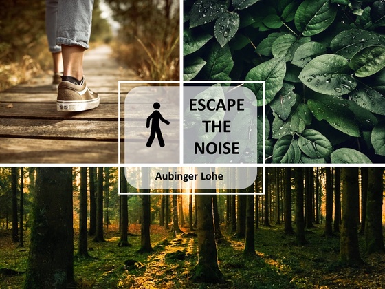 Feierabend-Spaziergang: Aubinger Lohe