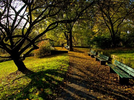 Der Luitpoldpark in München im Herbst