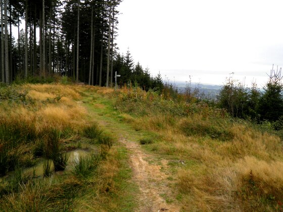 Sonneckgratweg und Blick nach Westen
