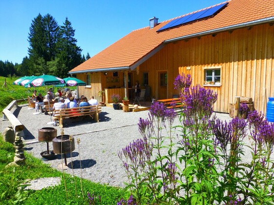 Frommknechts Alpe
