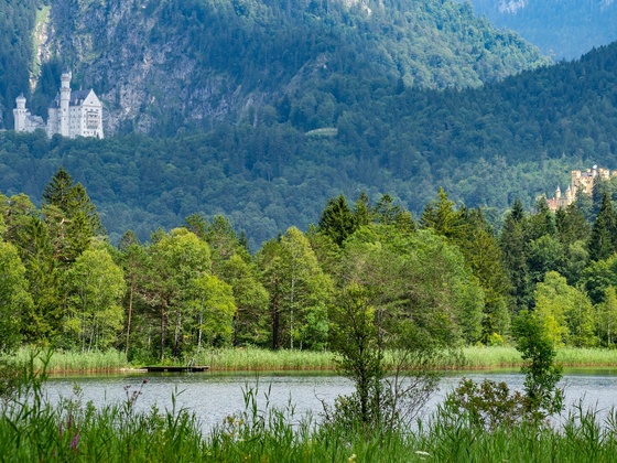 Blick auf die Königsschlöser