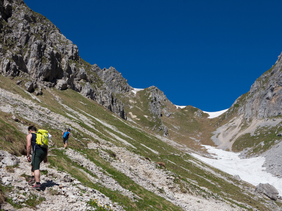 Bergtour - Hochblasse, im Roggental
