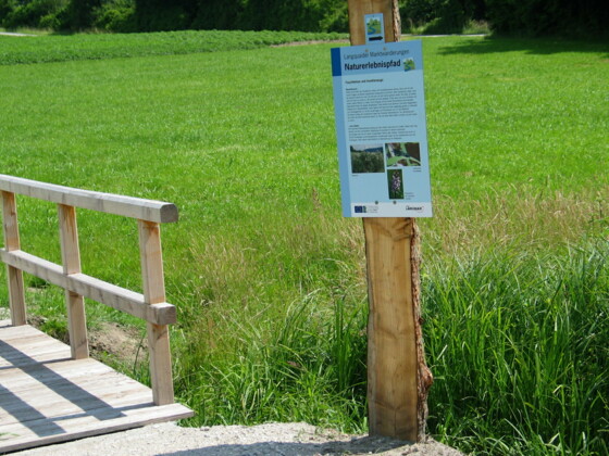 Marktweiherwanderng Langquaid "Naturlehrpfad"