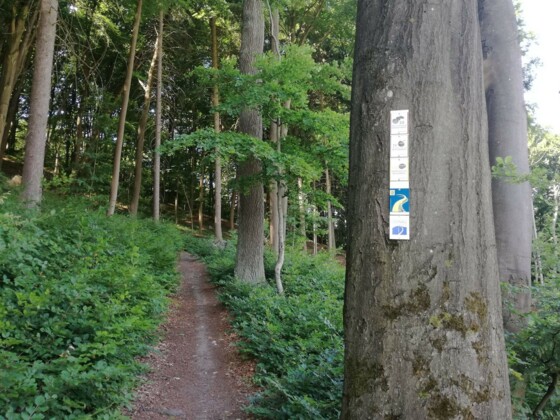 Auf dem Weg zum Aussichtspunkt Wieserkreuz