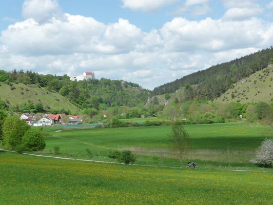 Blick auf die Rosenburg über Riedenburg