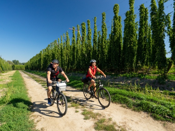 Abenstal - Hopfenland Hallertau