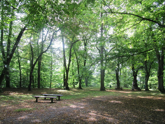 Engelsberg