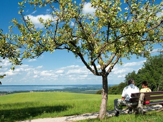 Blick auf Chiemsee