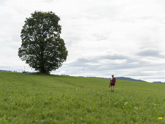 Richtung Scheffau (c) Martin Vogel / Vorarlberg Tourismus