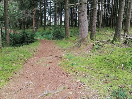 Weg zum Holzweible