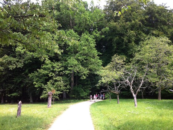 Wiesen und Wälder