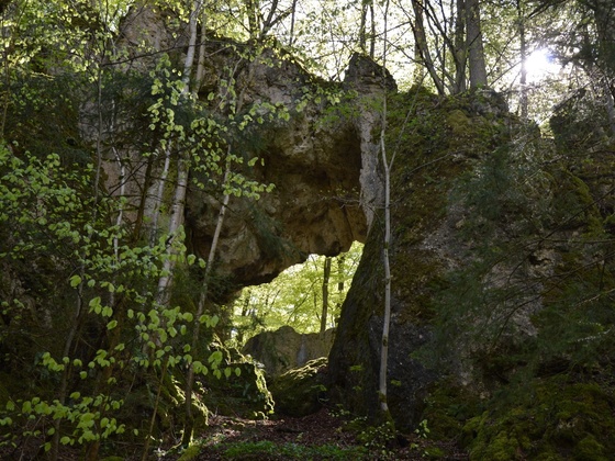 Schwingbogen