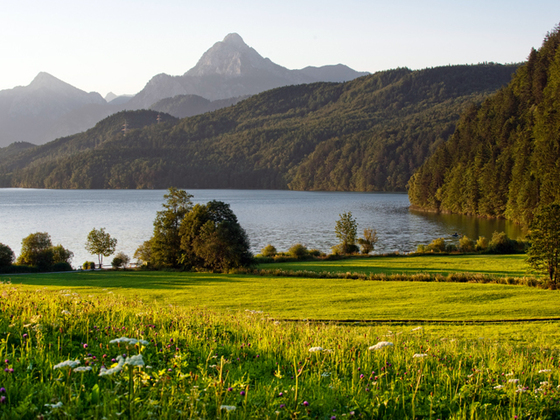Blick über den Weißensee