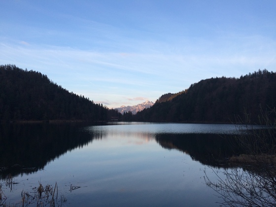 Alatsee Abendstimmung