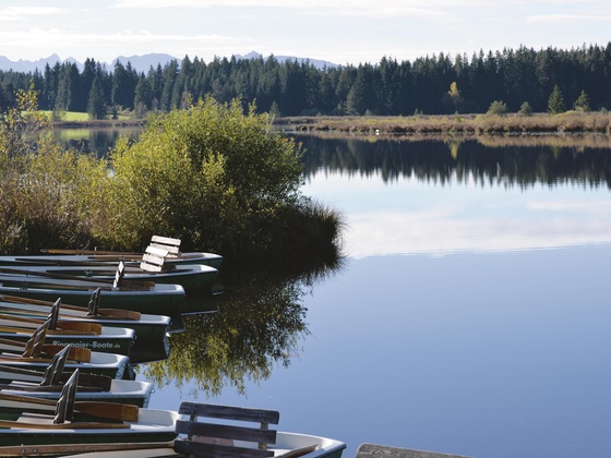 Der Elbsee