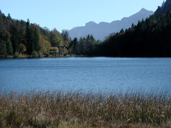 Alatsee