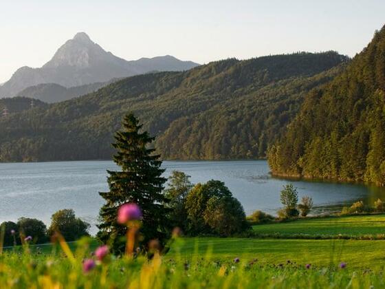 Weißensee