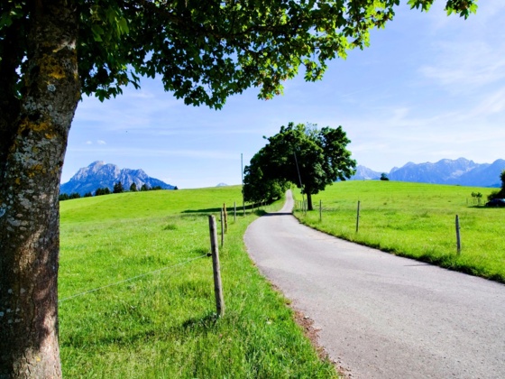 Panoramablick