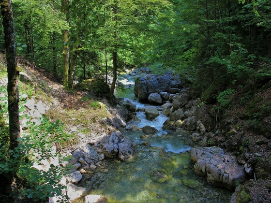 Wanderung durch das Achtal