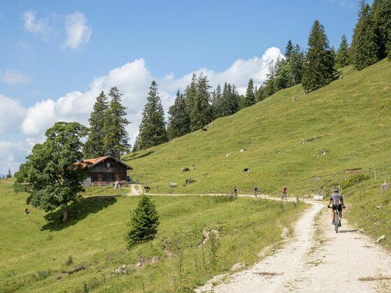 Mountainbiker auf dem Weg zur Bärenmoosalpe