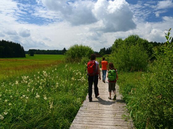 Wanderer auf dem Elbseesteg