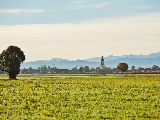 Blick auf Schlingen
