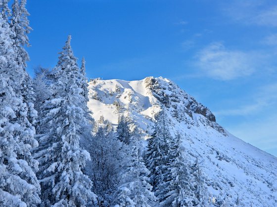 Der Breitenberg