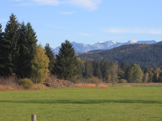 Sicht auf das Wiesleutener Moos