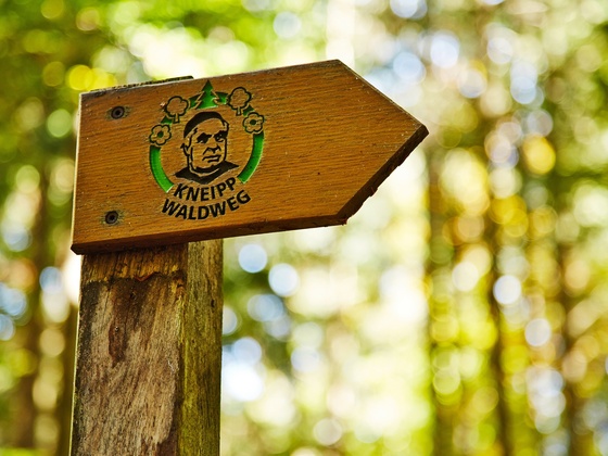 Kneipp-Waldweg