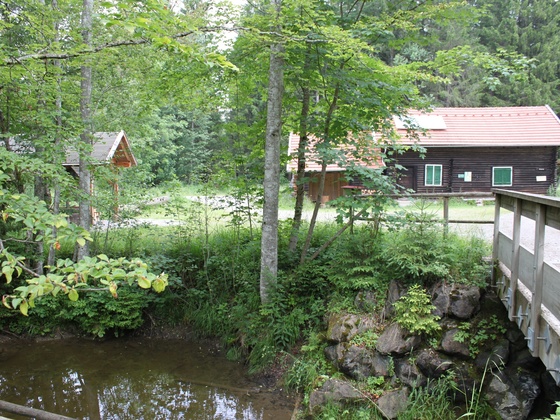 Blick auf das Waldhaus am Naturpfad Senkele
