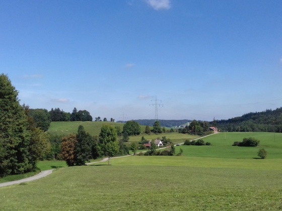 Blick von Niebers in Richtung Ottobeuren