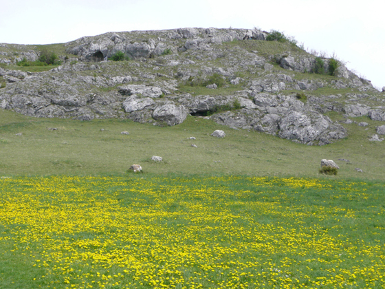 Riegelsberg mit Ofnethöhlen