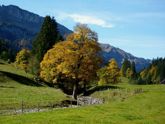 Im Rohrmoostal