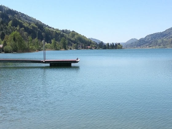 Der Alpsee
