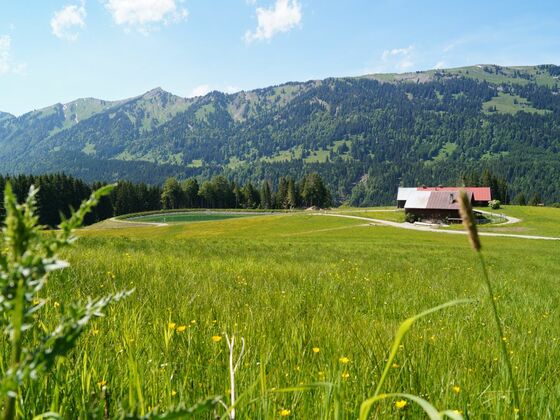 Gaisrücken bei Ofterschwang