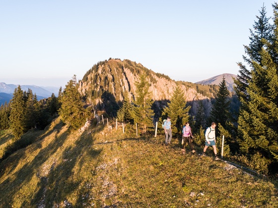 Blick über die Alpen