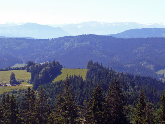 Blick auf die Wenger Egg und Alpenkette