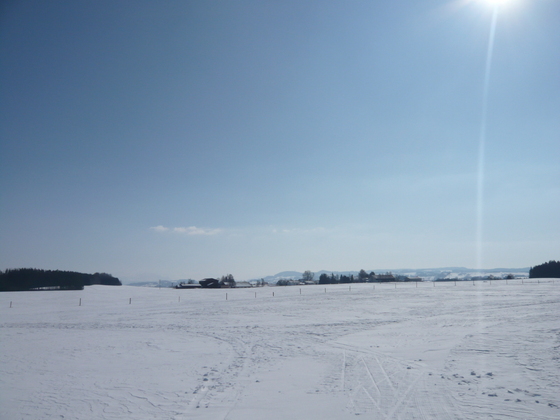 Winterlandschaft an der Loipe Reicholzried (2)